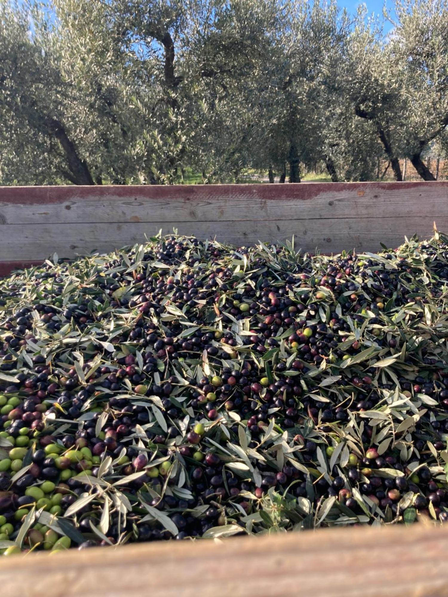 Podere San Giusto Figline Valdarno Dış mekan fotoğraf